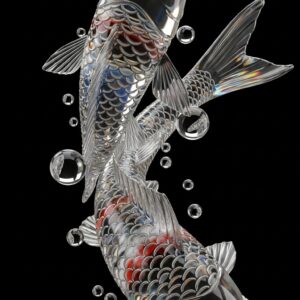 Reflective Koi Fish Solid Black Background